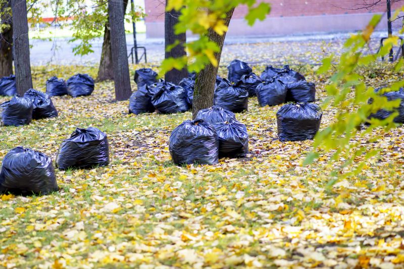 Leaf Collection in Bags
