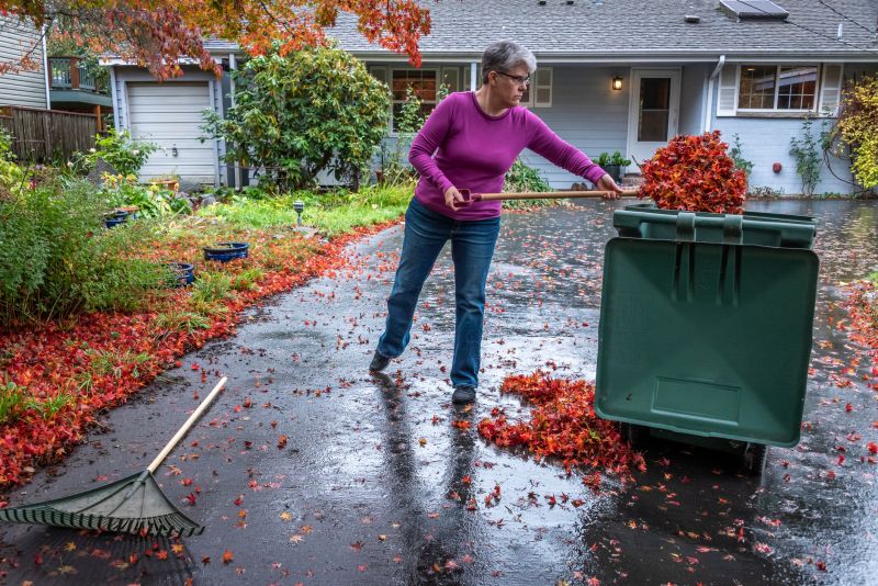 Final Leaf Disposal
