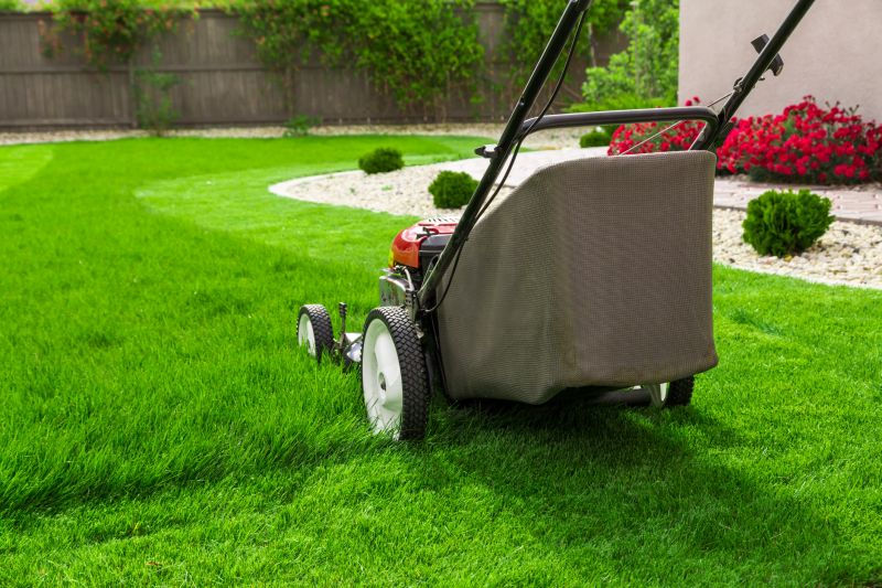 Lawn Health