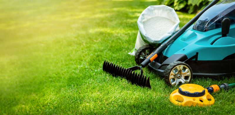 Routine Lawn Maintenance