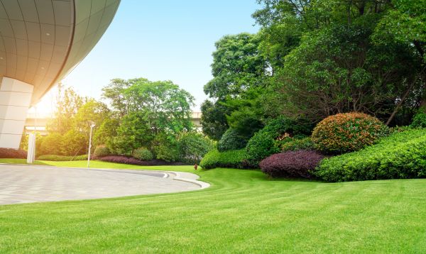Cost of Commercial Lawn Mowing in Buckeye
