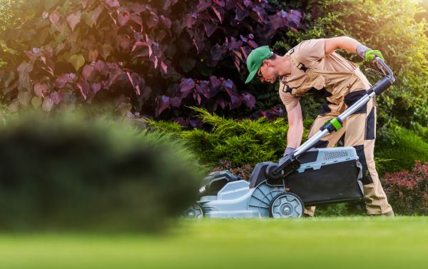 Cost of Lawn Care And Maintenance in Buckeye