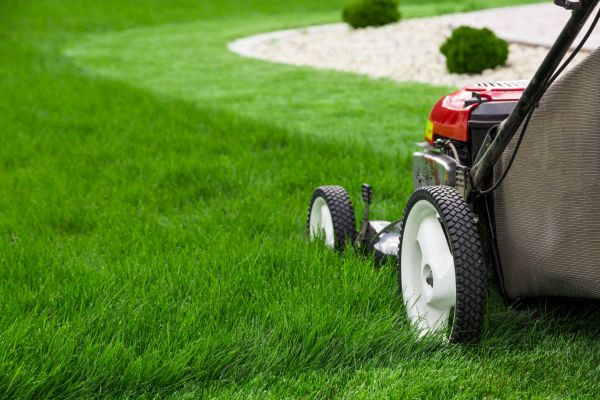 Cost of Mowing Service in Buckeye