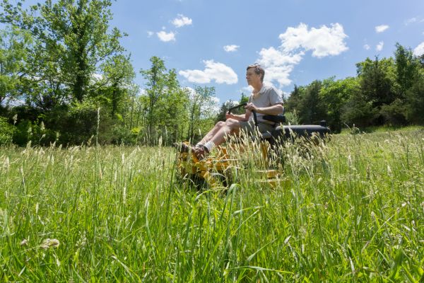 Cost of Tall Grass Mowing in Buckeye