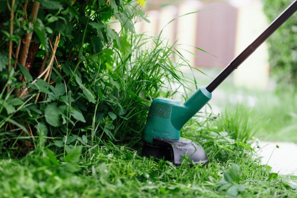 Cost of Weed Whacking in Buckeye