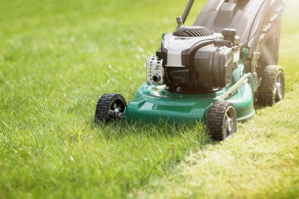 Cost of Yard Cutting in Buckeye