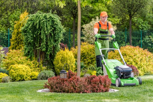 Cost of Yard Service in Buckeye