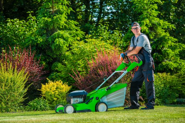 Cost of Yard Work Service in Buckeye