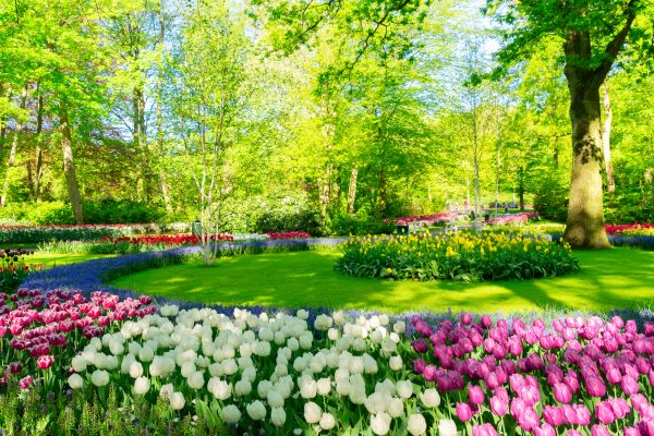 Cost of Spring Lawn Care in Buckeye