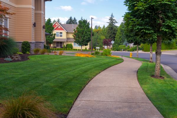 Cost of Home Lawn Maintenance in Buckeye