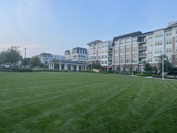 Cost of Urban Lawn Care in Buckeye