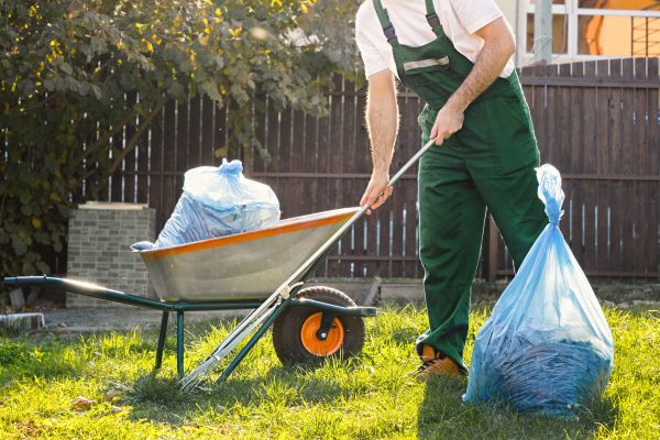 Cost of Yard Cleaning in Buckeye