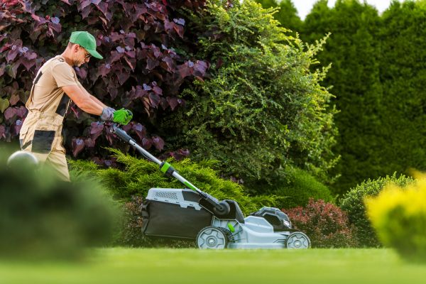 Cost of Lawn Management in Buckeye
