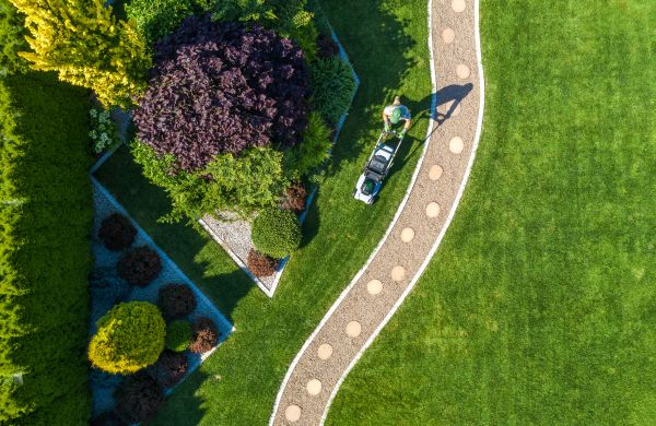 Cost of Mowing And Landscaping in Buckeye