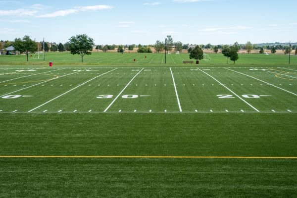 Cost of Groundskeeping Service in Buckeye