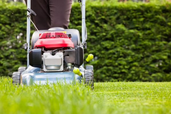 Cost of Grass Trimming Service in Buckeye