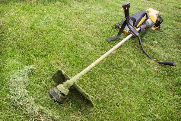 Cost of Hillside Weed Whacking in Buckeye