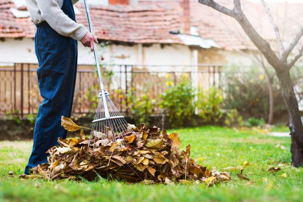 Cost of Routine Lawn Maintenance in Buckeye