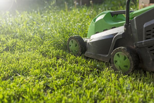 Cost of Yard Trimming in Buckeye