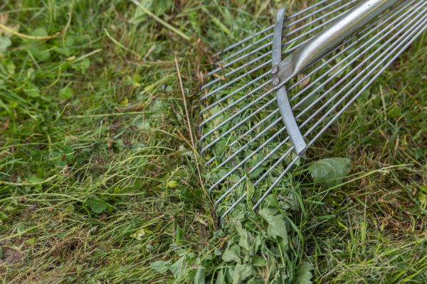 Cost of Thatch Raking in Buckeye