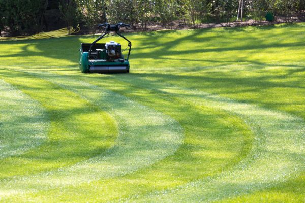 Cost of Business Lawn Mowing in Buckeye