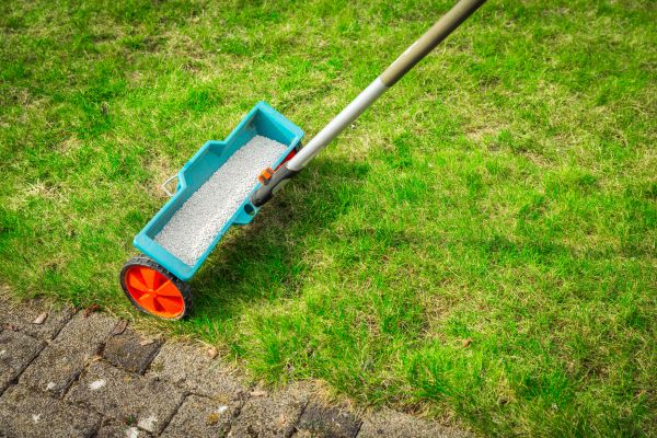 Cost of Commercial Lawn Treatment in Buckeye