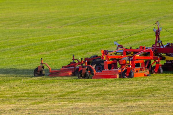 Cost of Industrial Lawn Service in Buckeye