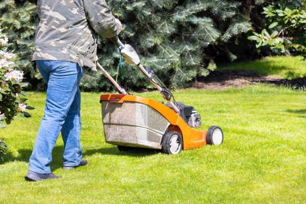 Cost of Springtime Lawn Care in Buckeye