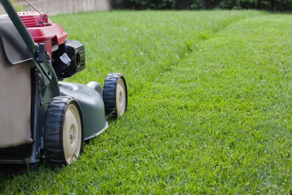 Cost of Spring Lawn Maintenance in Buckeye
