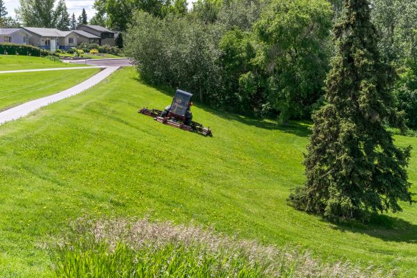 Cost of Sloped Area Mowing in Buckeye