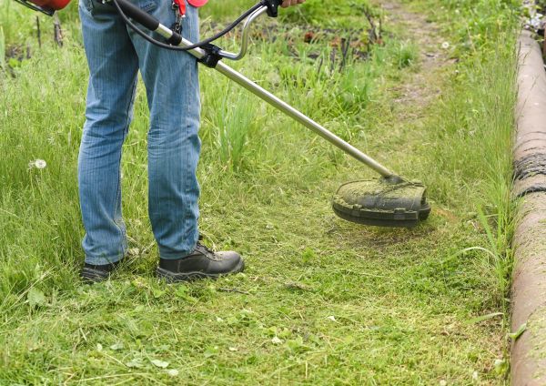 Cost of Tall Grass Trimming in Buckeye