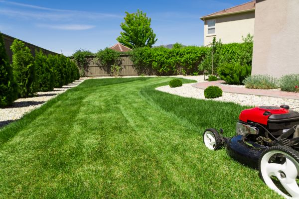 Cost of Residential Lawn Mowing in Buckeye